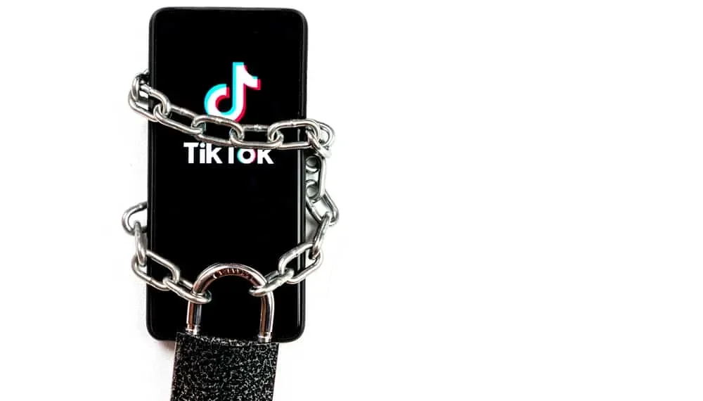 Quantos relatórios são banidos no Tiktok