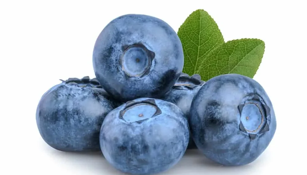 Apa itu blueberry di Snapchat