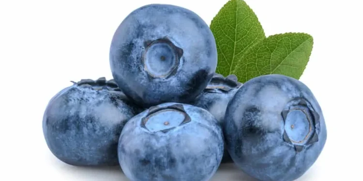 Was ist Blaubeer auf Snapchat?